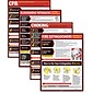 ComplyRight™ Lifesaving Posters; 4 Poster Set, CPR, Choking, Bloodborne Pathogens, Fire Extinguisher (WR0242)