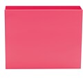 Poppin Pink Hanging Plastic File Box