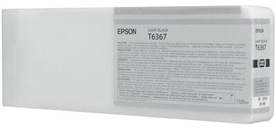 Epson T636 Light Black Standard Yield Ink Cartridge (3717863)