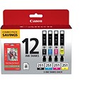 Canon 251 Black/Cyan/Magenta/Yellow Standard Yield Ink Cartridge, 12/Pack (6513B010)