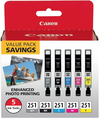 Canon 251 Black/Cyan/Magenta/Yellow/Gray Standard Yield Ink Cartridge, 5/Pack (6513B011)