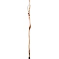 Brazos 55 Free Form Diamond Willow Walking Stick