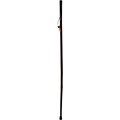 Brazos 58 Free Form Iron Bamboo Walking Stick; Black