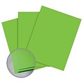 Astrobrights Smooth Color Paper, 8.5 x 11, 65# Cover, Terra Green, 2000/CA
