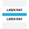 Medical Arts Press® Standard Preprinted Chart Divider Tabs, Lab/X-Ray, Light Blue