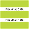 Medical Arts Press® Large Chart Divider Tabs, Financial Data, Lime