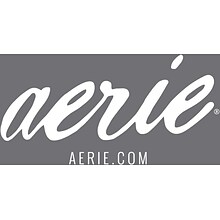 Aerie Gift Card $100