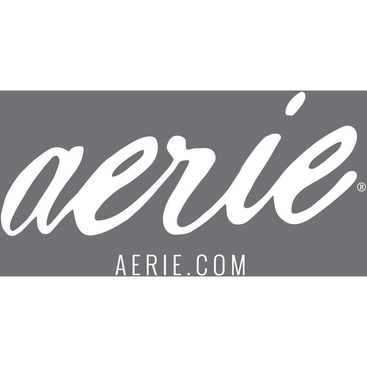Aerie Gift Card $100