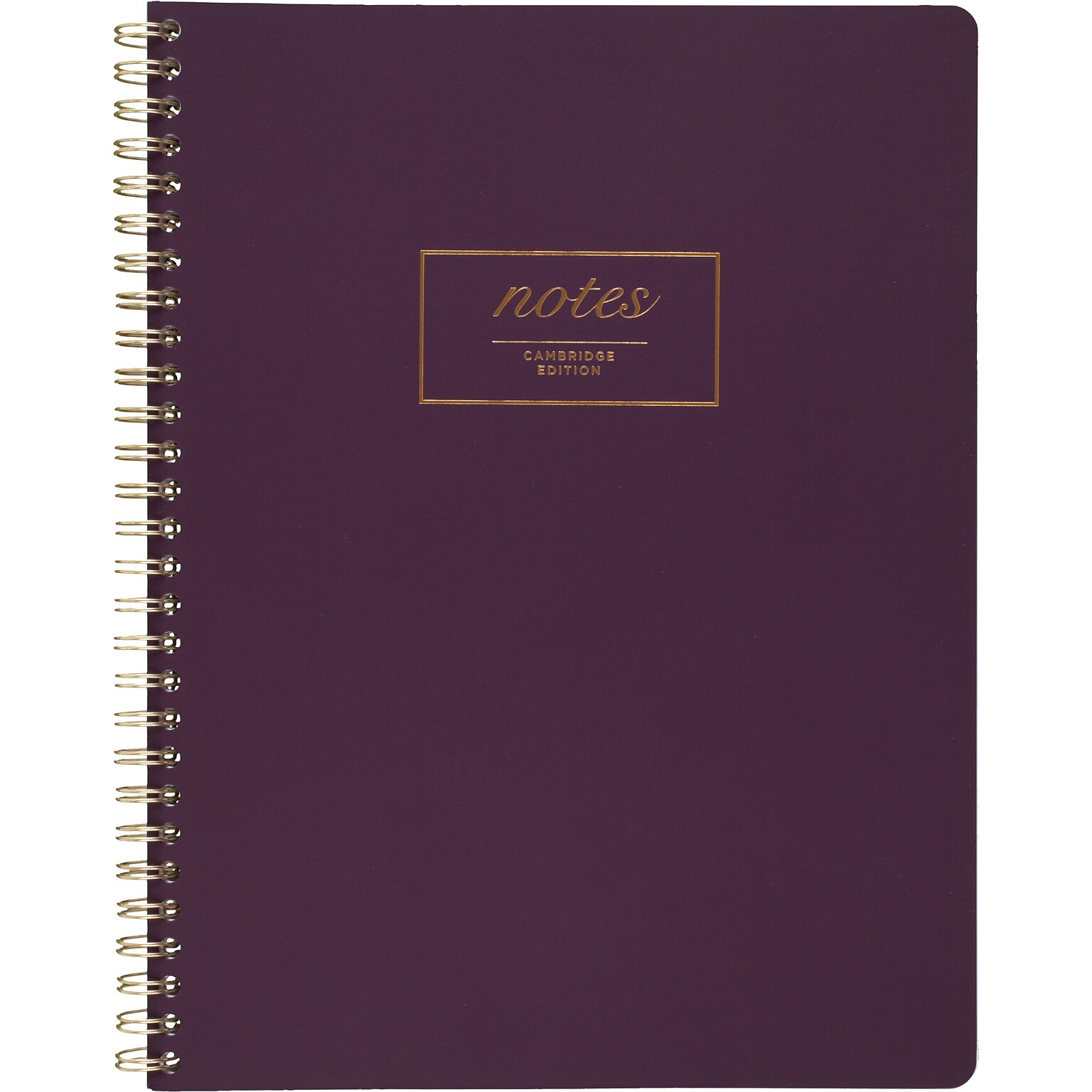 Cambridge Fashion Twinwire Business Notebook, 80 Sheets, 9-1/2 x 7-1/4, Purple (49556)