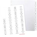 Quill® Custom Label Index Systems; 25 Sets Of 8-Tabs