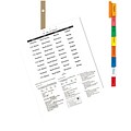 Quill Brand® Big Tab Indexes- Dividers for Laser and Inkjet Printers; 8-Tab, White, Assorted Tabs