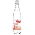 Hint Fizz Grapefruit Infused Sparkling Water, 16.9 Oz., 12 Pack