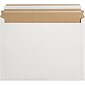 Express Pouch Mailer, 12 1/2" x 9 1/2", White, 250/Case (RM1EP)