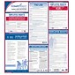 ComplyRight™ Federal Labor Law Poster, English (ERFED)