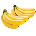 Fresh Bananas, 6 lbs., 2/Pack (02913)