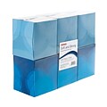 Brighton Professional™ Facial Tissue, 2-Ply, Boutique Box, 95 Sheets/Box, 6 Boxes/Pack