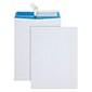 Quality Park Redi-Strip Catalog Envelope, 9" x 12", White, 100/Box (QUA41415)