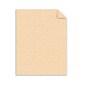 Southworth 8.5" x 11" Specialty Paper, 24 Lbs., Parchment, 500/Box (894C)