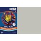 Tru-Ray 12" x 18" Construction Paper, Gray, 50 Sheets (P103059)