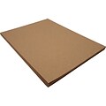 Riverside 3D 9 x 12 Construction Paper, Brown, 50 Sheets (P103605)