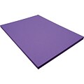 Riverside 3D 9 x 12 Construction Paper, Violet, 50 Sheets (P103603)