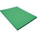 Riverside 3D 9 x 12 Construction Paper, Green, 50 Sheets (P103596)