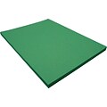 Riverside 3D 9 x 12 Construction Paper, Holiday Green, 50 Sheets (P103577)