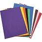 Tru-Ray 9" x 12" Construction Paper, Assorted Colors, 50 Sheets (P103031)