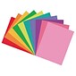 Tru-Ray 9" x 12" Construction Paper, Assorted Colors, 50 Sheets (P102940)