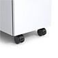 HON Lewis 2-Drawer Mobile Vertical File Cabinet, Letter/Legal Size, Lockable, 24"H x 15"W x 23"D, Charcoal (LSPEDCHARS7)