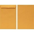 Quill Brand® Gummed Catalog Envelope, 6 x 9, Brown-Kraft,  500/Box (OE6924)
