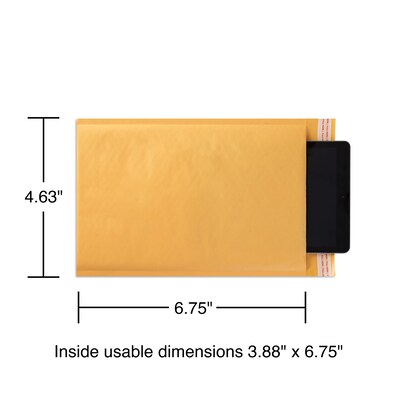 4.63" x 6.75" Self-Sealing Bubble Mailer, #000, 25/Carton (ST56655B)