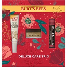 Burts Bees Deluxe Care Trio Gift