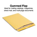 Staples® Gummed Catalog Envelopes; 13 x 10, Brown Kraft, 250/Box (486946/17033)