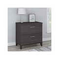 Bush Furniture Somerset 2-Drawer Lateral File Cabinet, 29 x 30, Letter/Legal, Storm Gray (WC81580)