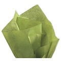 Bags & Bows Tissue Paper Tissue Paper, Green, 480/Pack (11-01-110)