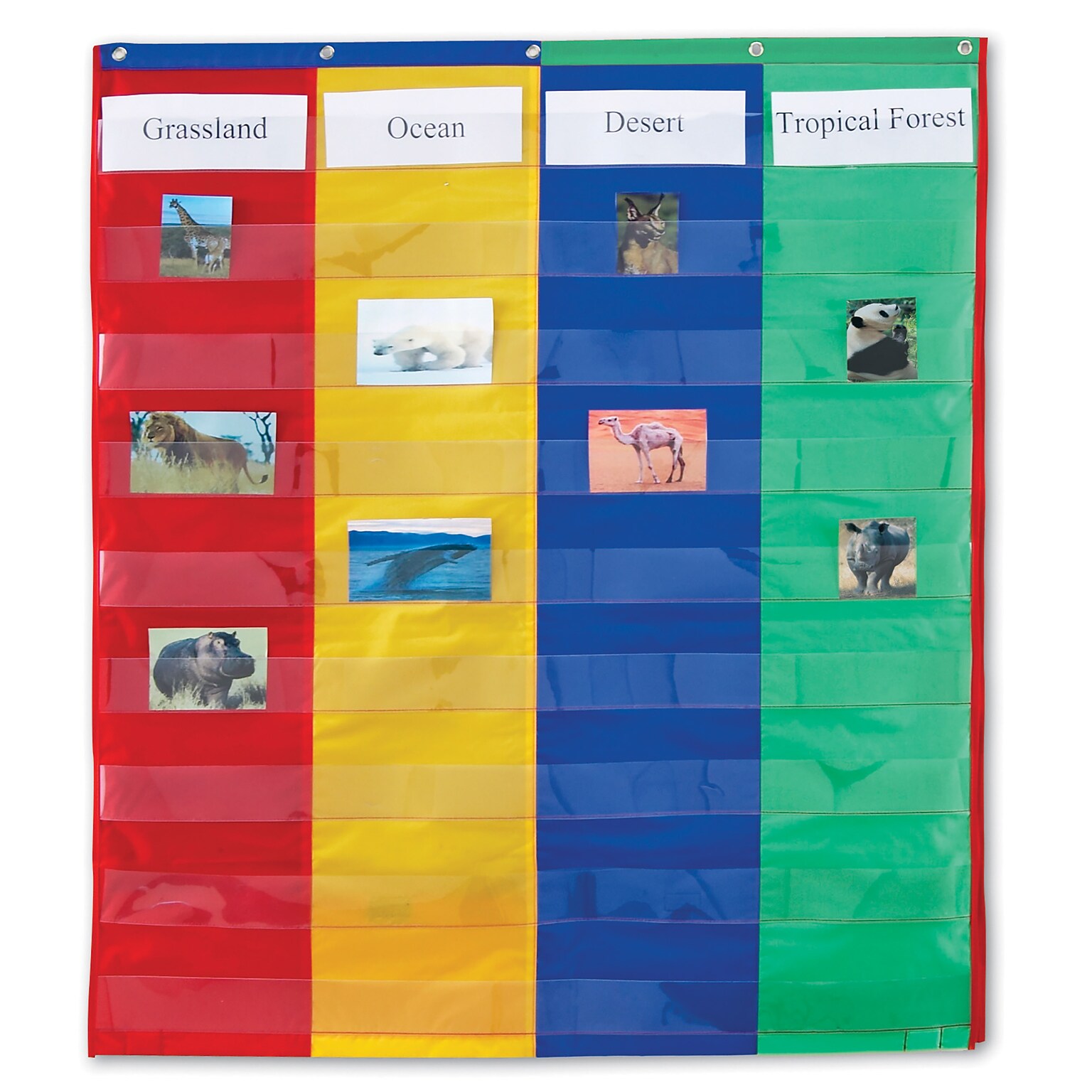 Learning Resources Pocket Charts, 2 & 4 Column Double-Sided (LER2382)