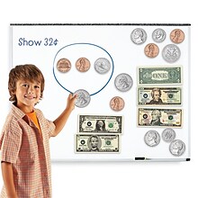 Learning Resources Double-Sided Magnetic Money, Set of 45 (LER5080)