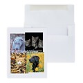 Custom Welcome Pets Greeting Cards, With Envelopes, 4-1/4 x 5-3/8, 25 Cards per Set