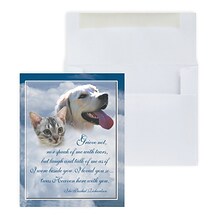Custom Pet Loss Clouds Sympathy Cards, With Envelopes, 4-1/4 x 5-3/8, 25 Cards per Set