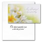 Assorted Sympathy Cards, With Envelopes, Various Card Sizes, 25 Cards per Set