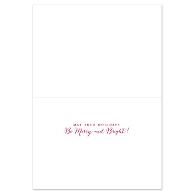 JAM PAPER Christmas Cards & Matching Envelopes Set, 7 6/7 x 5 5/8, Seasons Greetings Sparkle, 16/P