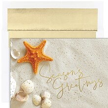 JAM PAPER Christmas Cards & Matching Envelopes Set, 7 6/7 x 5 5/8, Starfish Greetings, 18/Pack (52