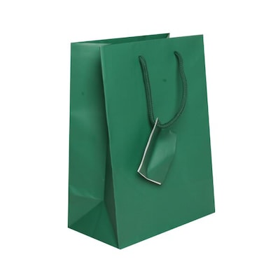 JAM Paper Matte Gift Bag with Rope Handles, Medium, Green, 100 Bags/Pack (672MAGR100)