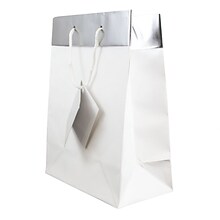 JAM Paper Matte Gift Bag with Rope Handles, Medium, White & Silver, 24 Bags/Box (4431768B)