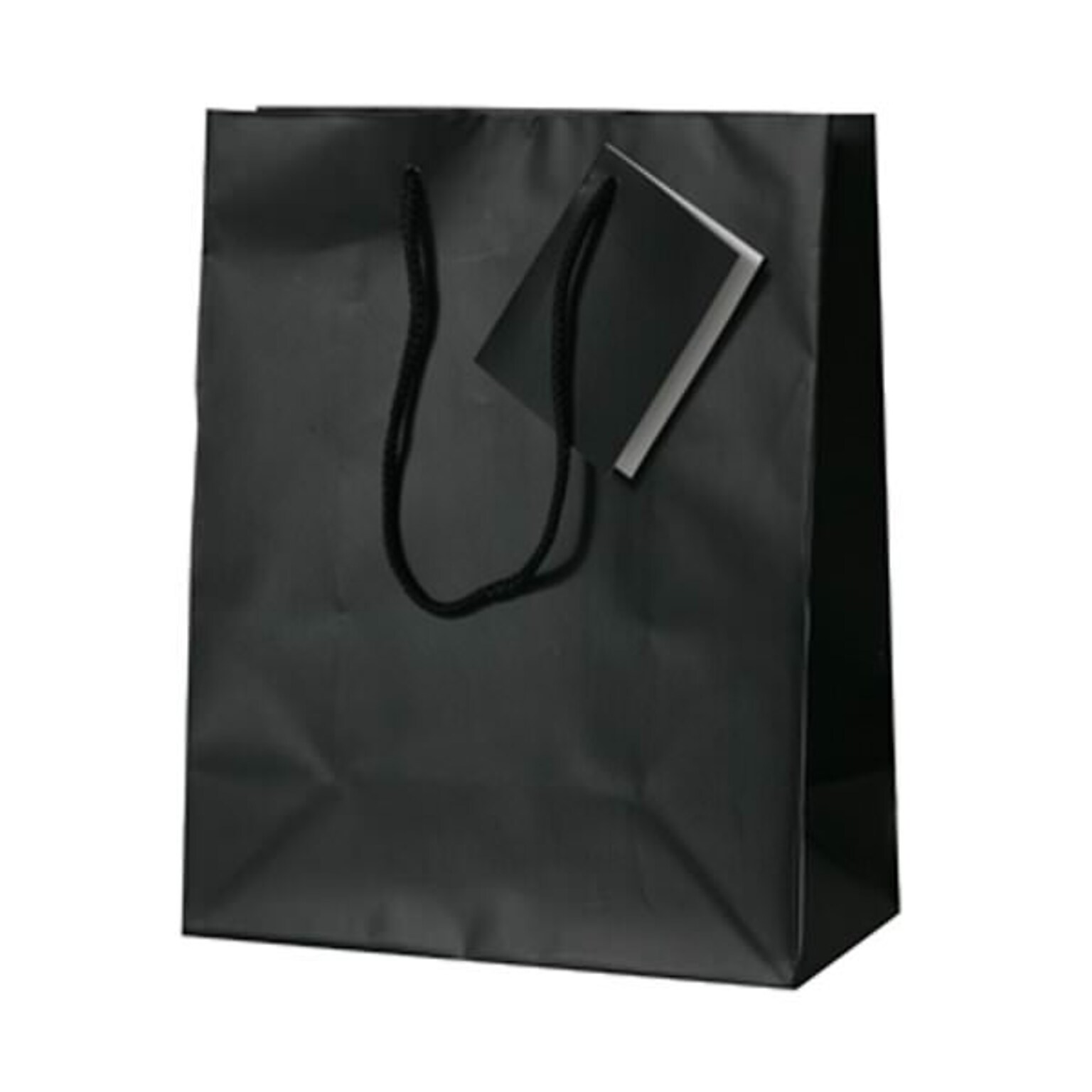 JAM PAPER Gift Bags with Rope Handles, Medium, 8 x 10 x 4, Black Matte, Bulk 100 Bags/Pack (672MABL100)