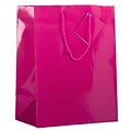 JAM PAPER Glossy Gift Bags with Rope Handles, Large, 10 x 13, Hot Pink, 3 Bags/Pack (673GLFUB)