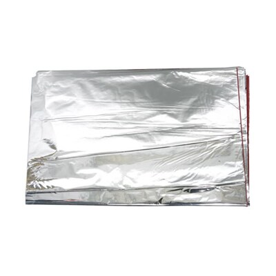JAM PAPER Tissue Paper, Silver Mylar, 100 Sheets/Ream (1172423)
