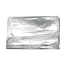 JAM PAPER Tissue Paper, Silver Mylar, 100 Sheets/Ream (1172423)