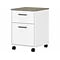 Bush Furniture Key West 2-Drawer Mobile Lateral File Cabinet, Letter/Legal Size, Shiplap Gray/Pure W
